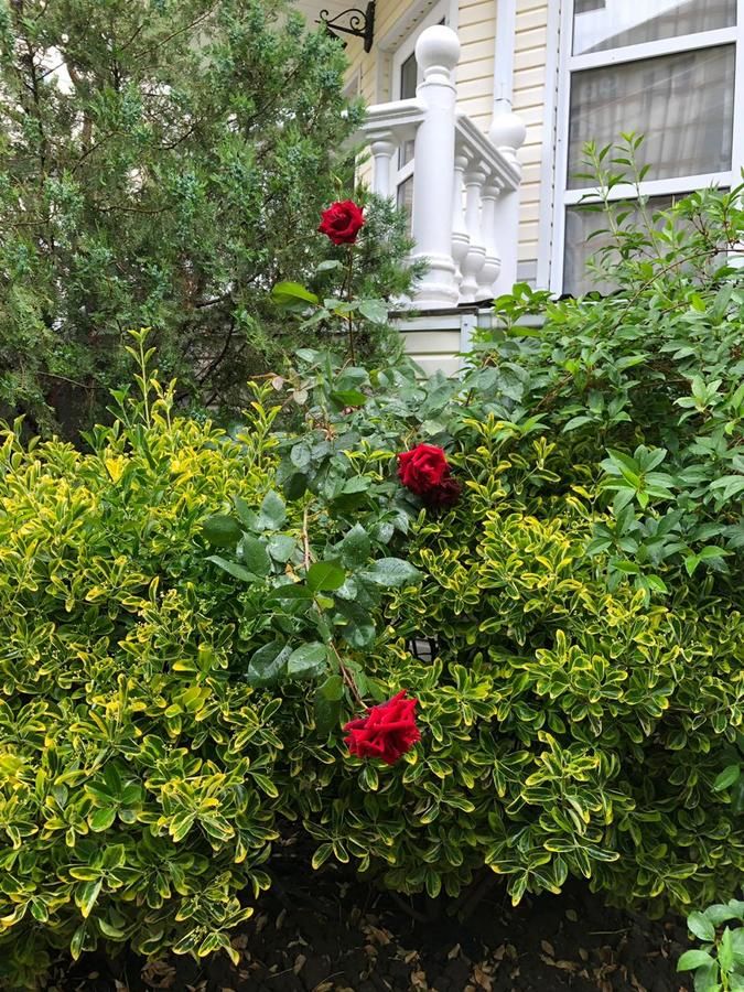 Гостевой дом Южная Дача Геленджик-32