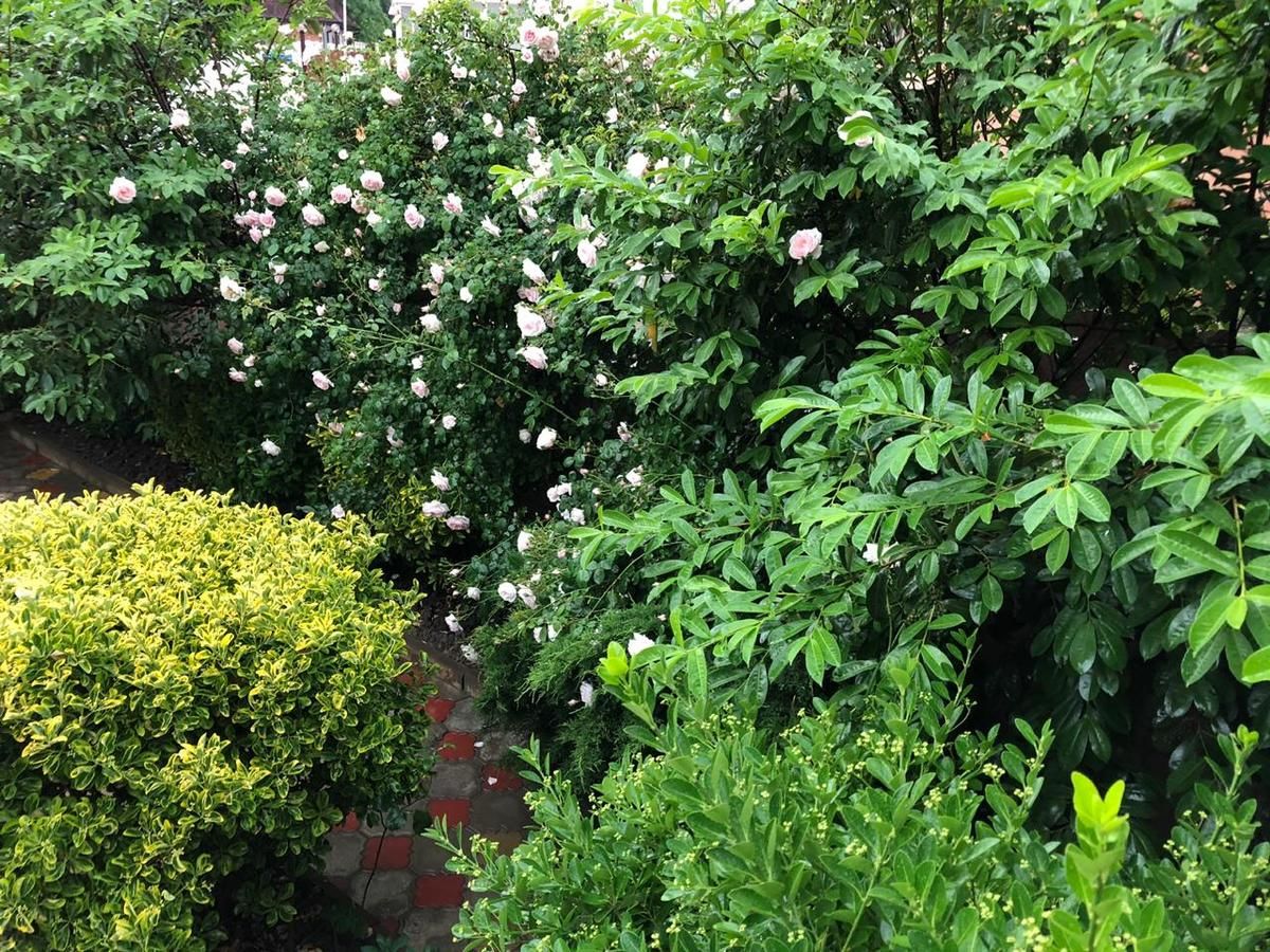 Гостевой дом Южная Дача Геленджик-33