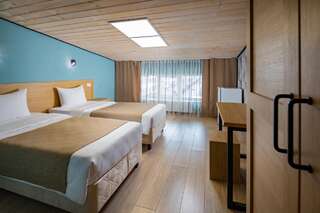 Гостевой дом Южная Дача Геленджик Стандартный двухместный номер с 1 кроватью или 2 отдельными кроватями-3