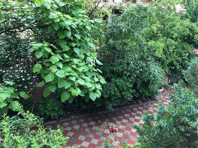 Гостевой дом Южная Дача Геленджик-30